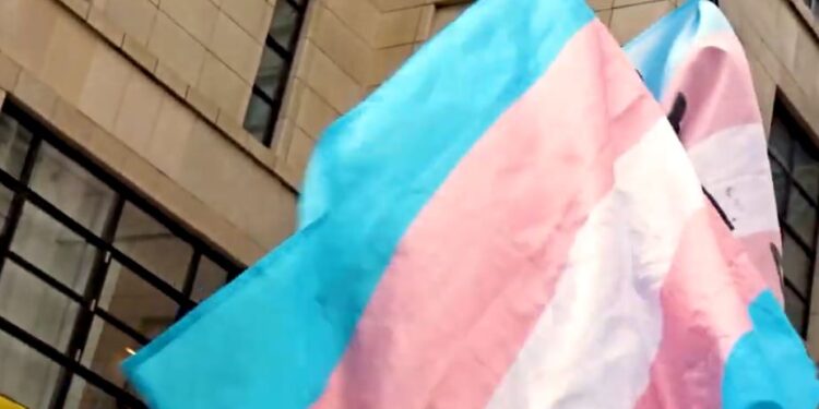Trans Bandiera