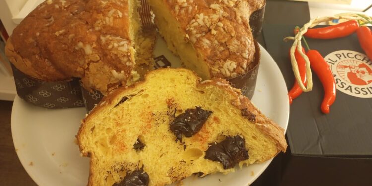 Colomba Salata 5