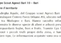 Quirinale