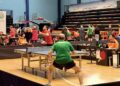 Tennistavolo Ping Pong (1)