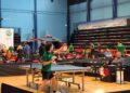 Tennistavolo Ping Pong (4)