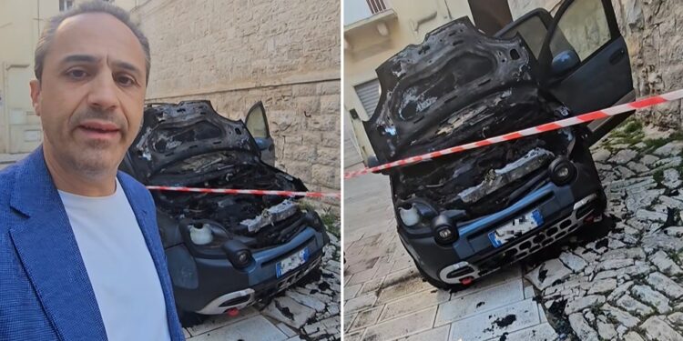 Terlizzi Auto Consigliere