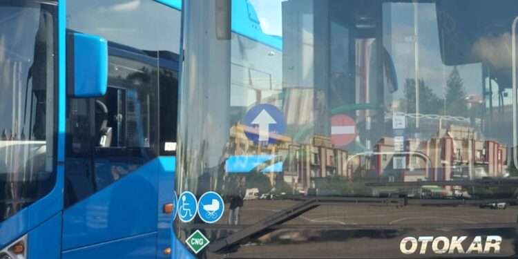 Nuovi Bus Regione