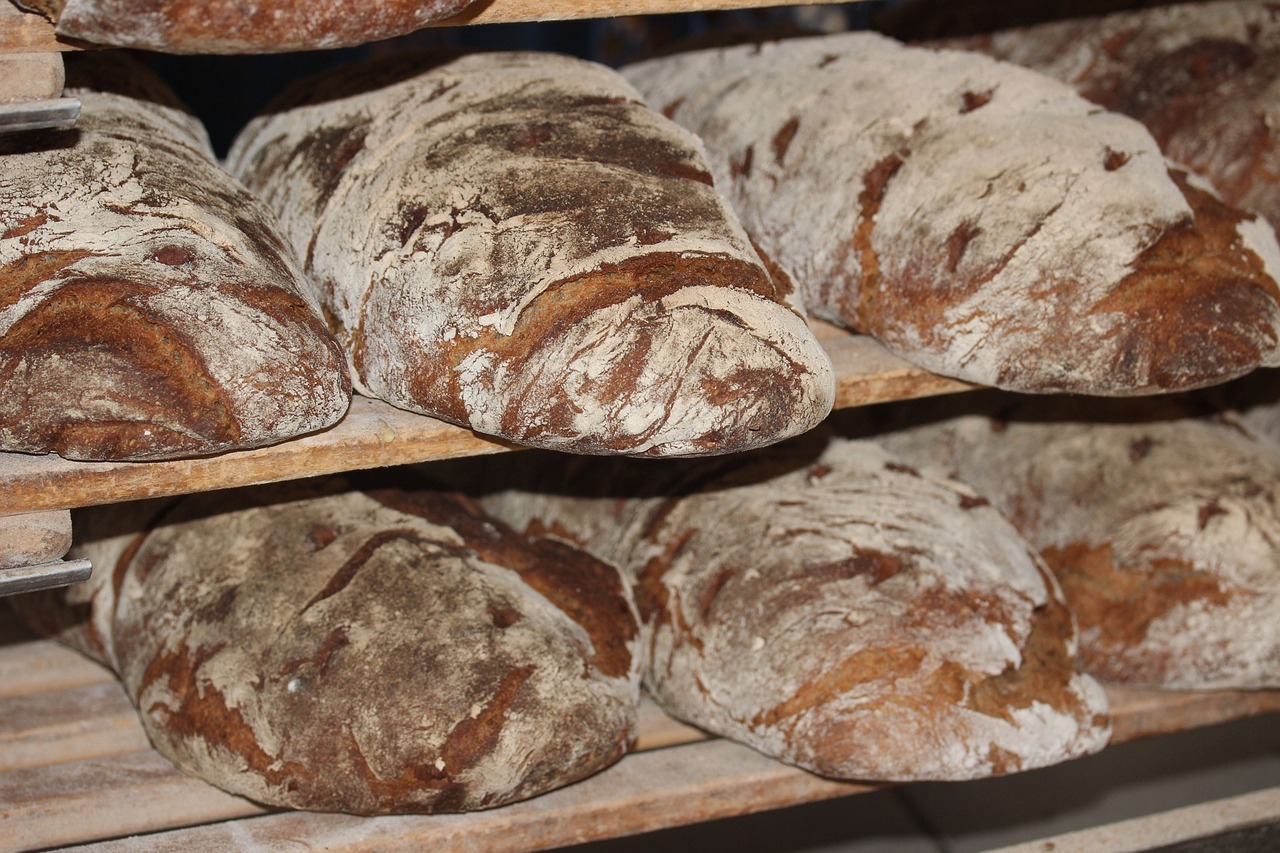 Pane