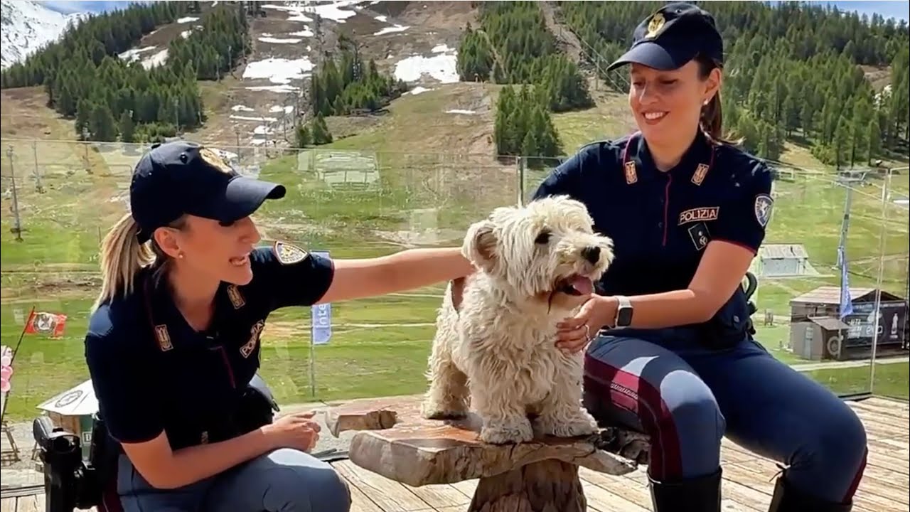 ‘se Non Ti Porto Non Parto’, Lo Spot Della Polizia Contro L’abbandono Degli Animali: “È Un Atto Crudele” – Video