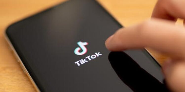 Garante, Da Tiktok Misure Per Bloccare Accesso Under 13