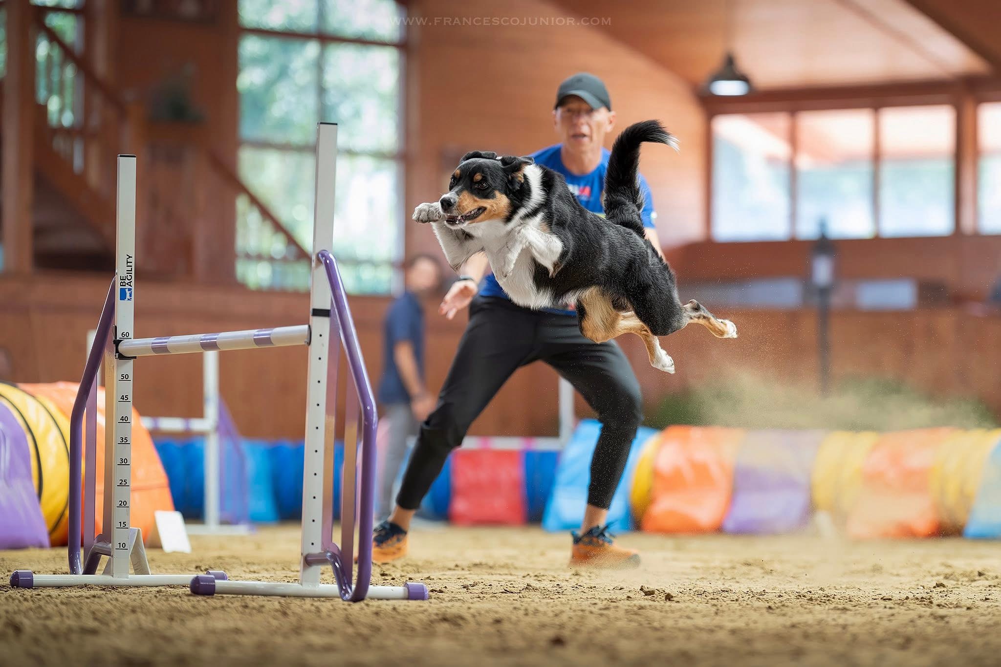 Agility Bruce3