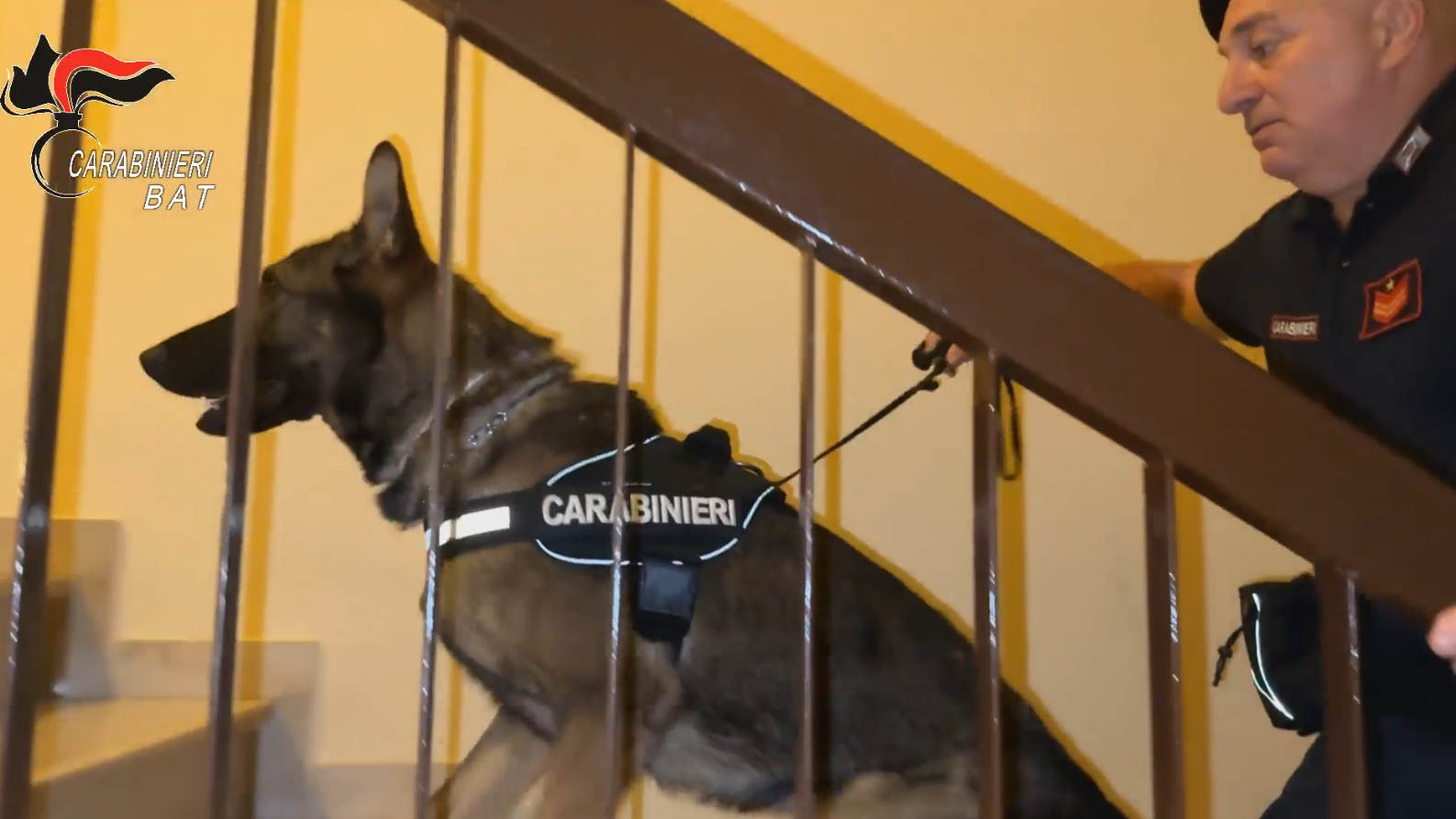Carabinieri Canosa