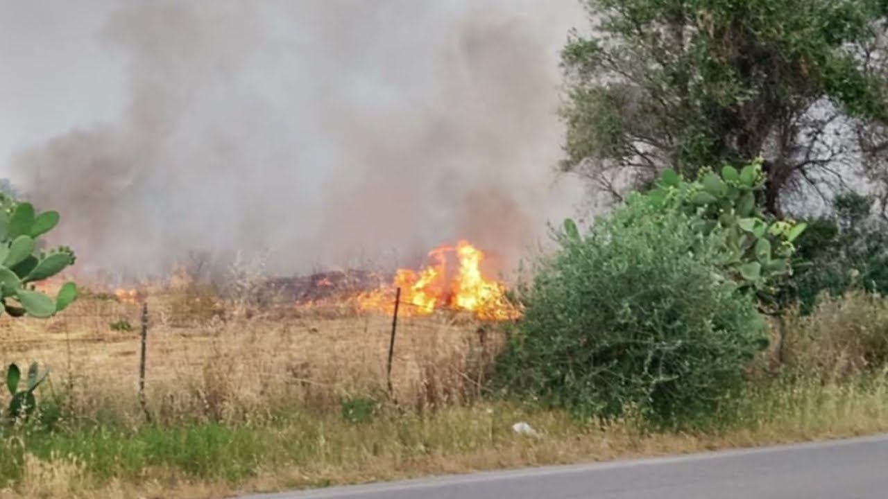 Carbonara E Ceglie, Sant’anna E San Paolo: Allarme Roghi Nelle Campagne Di Bari. “azioni Criminali” – Video
