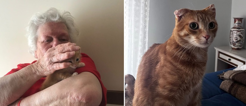 Gatto E Nonna Putignano Combo