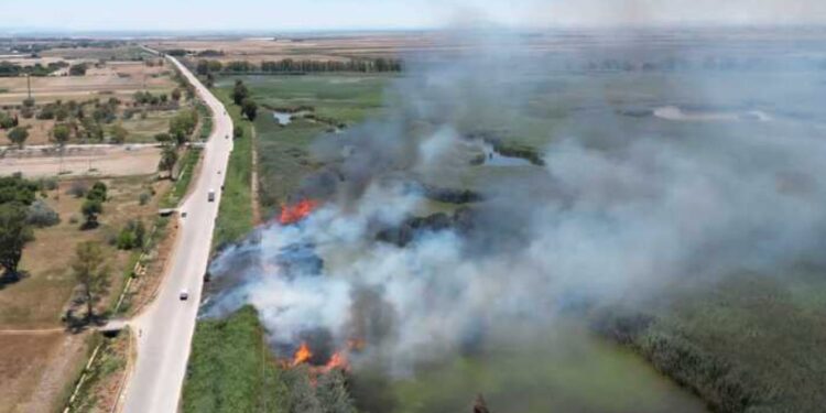 Incendio Foggia