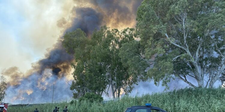 Incendio Manfredonia2