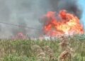 Incendio2