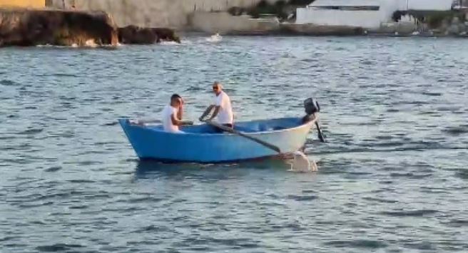 Palio Torre A Mare