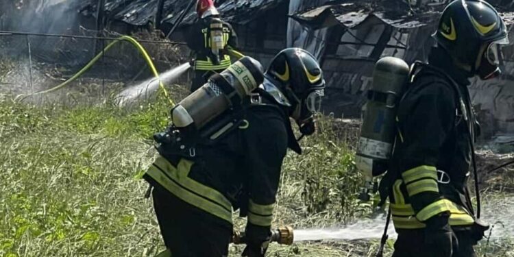 Vigili Del Fuoco Allevamento