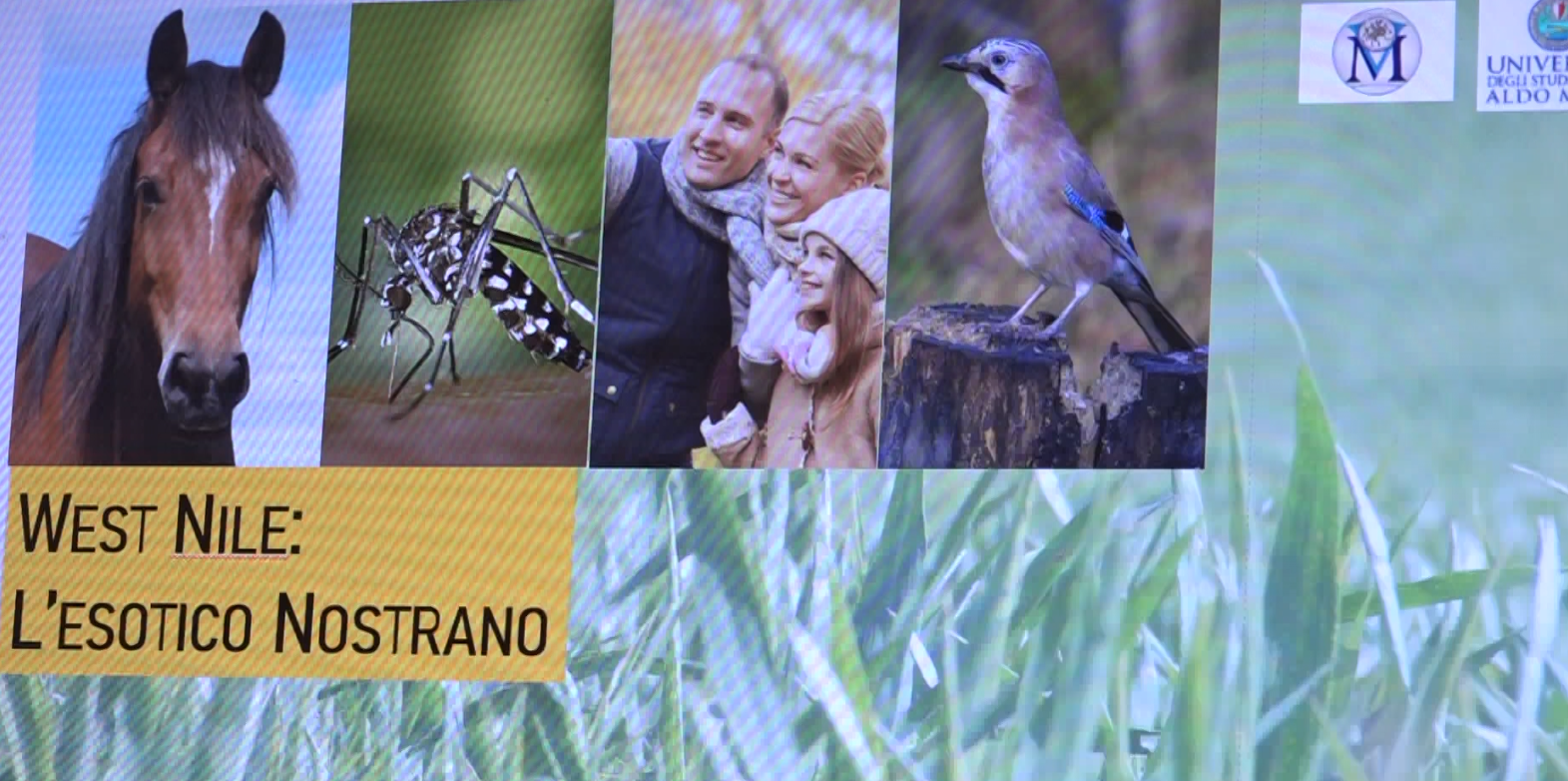 West Nile