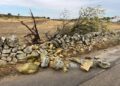 Bollettino Di Guerra In Campagna A Mottola Dopo Tornado E Grandine
