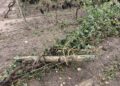 Bollettino Di Guerra In Campagna A Mottola Dopo Tornado E Grandine