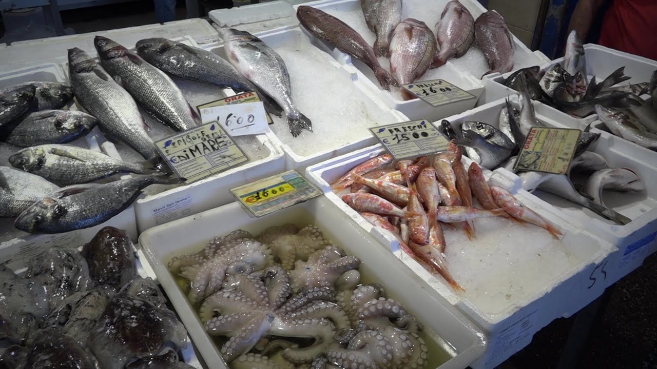 “flotta Pugliese Sotto Attacco Delle Importazioni Di Pesce”, L’allarme Di Coldiretti Tra Rincari E Origini Incerte – Video