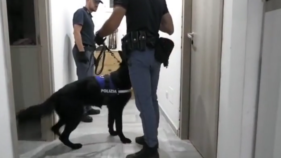Polizia Cane