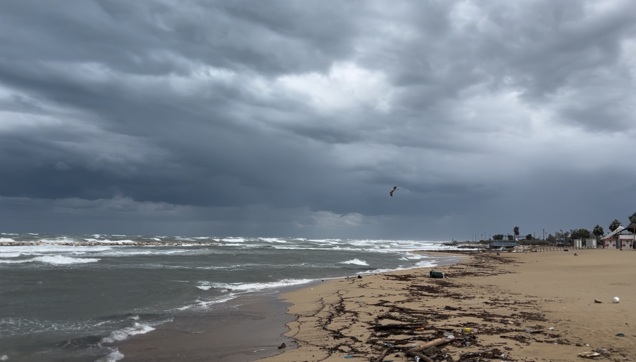 Mare tempesta bari pane e pomodoro