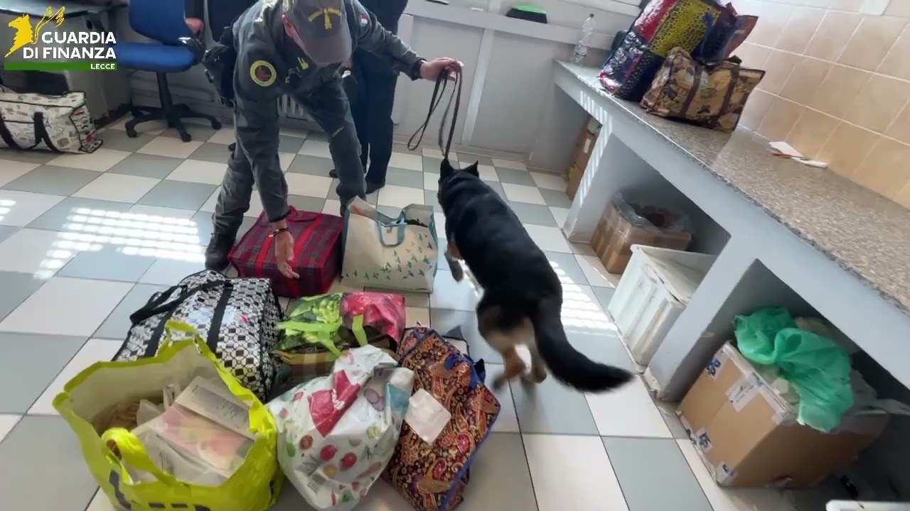 Droga Nelle Pacchi Per I Detenuti, Blitz Della Finanza Il Carcere: Il Cane Goran Fiuta L’hashish – Video