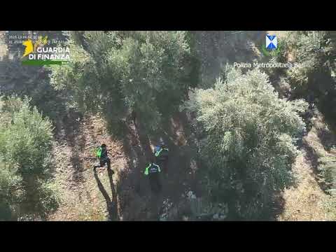 Terreni Trasformati In Discariche Di Scarti Edili, Sequestro Da 100mila Euro A Società Di Molfetta – Video
