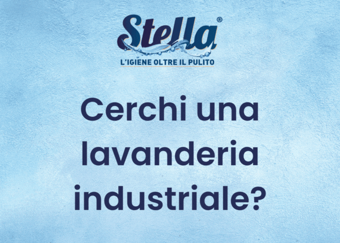 Cerchi Una Lavanderia Industriale 2