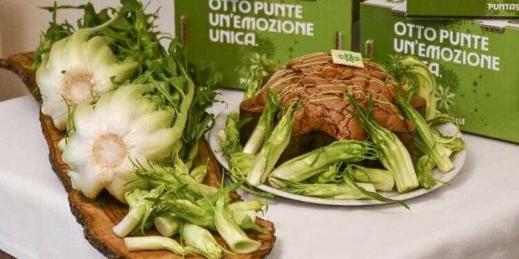 panettone cicoria