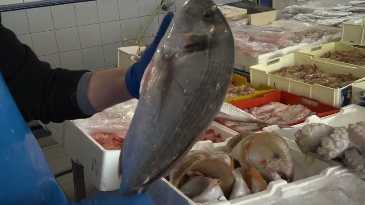 Caro Pesce Sulle Tavole Dei Baresi, Quanto Costa Il Cenone Di Natale: “vongole A 30 Euro Al Chilo” – Video