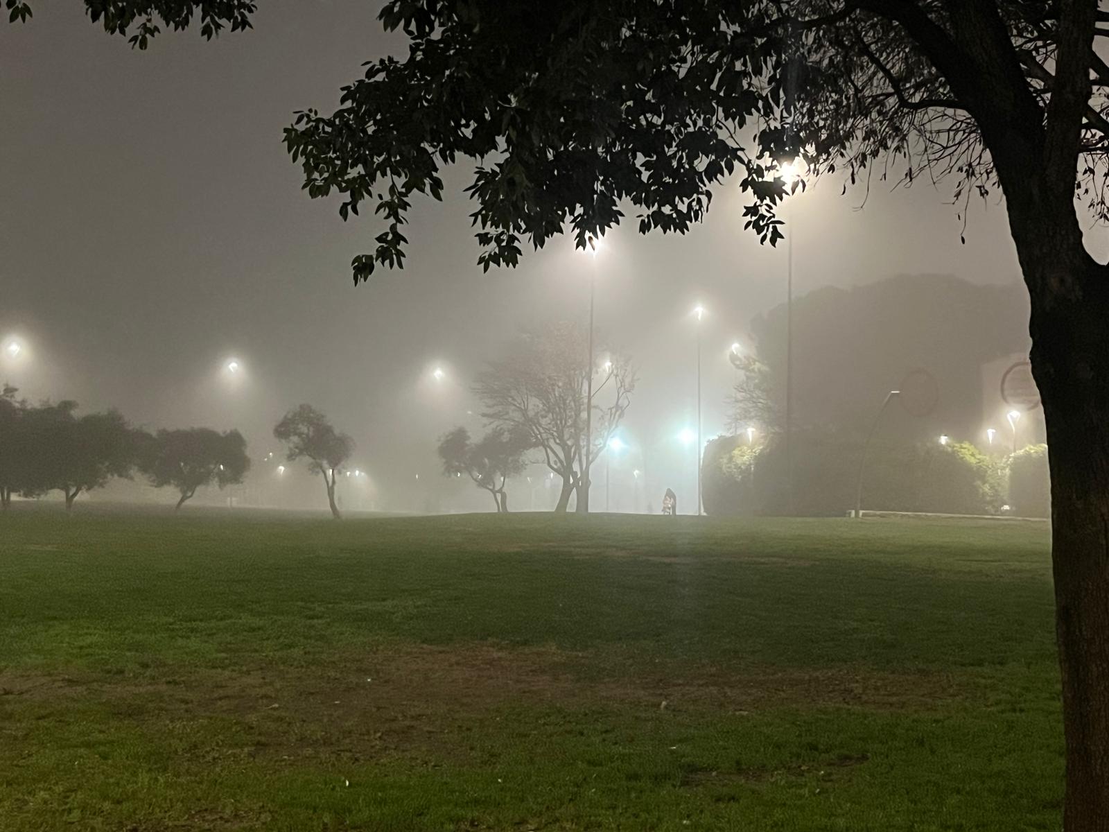 Nebbia Parco Due Giugno