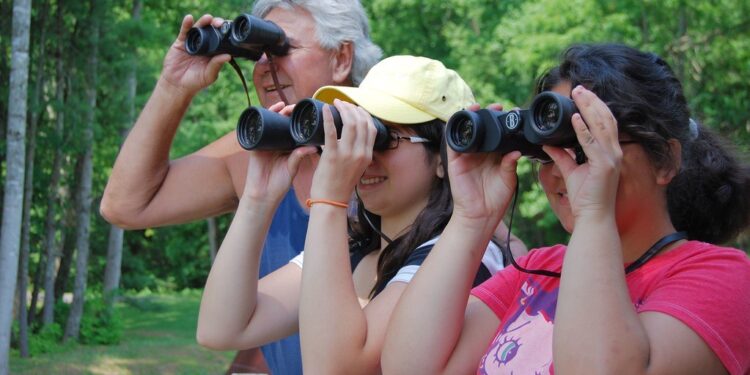 birdwatching