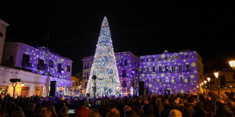 albero natale bari