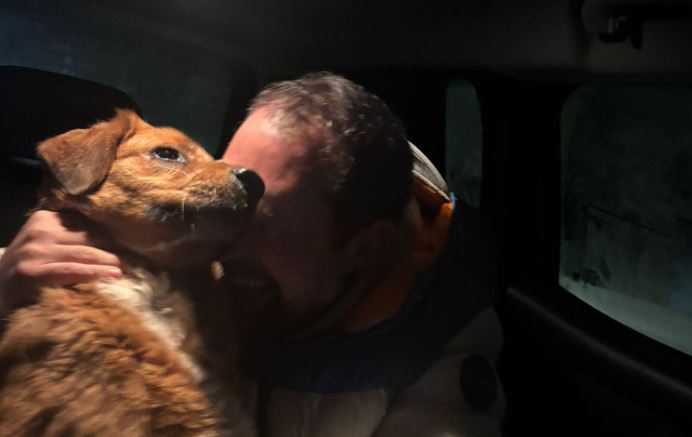 Cane Ritrovato