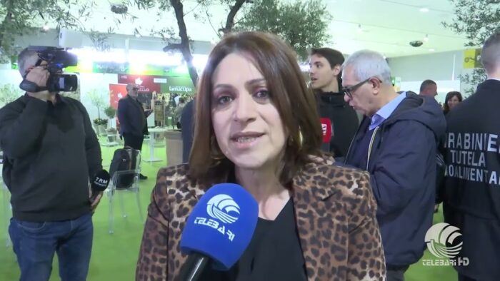 Tg Telebari Mattina 29 01 26