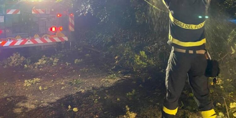 Vigili Del Fuoco Notte Albero Caduto 447376