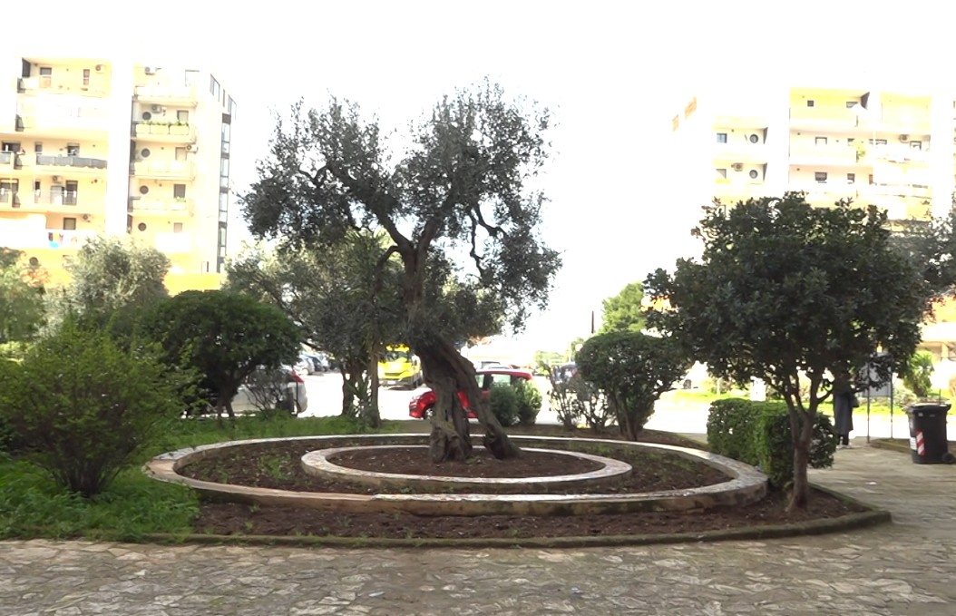 Aiuole San Paolo