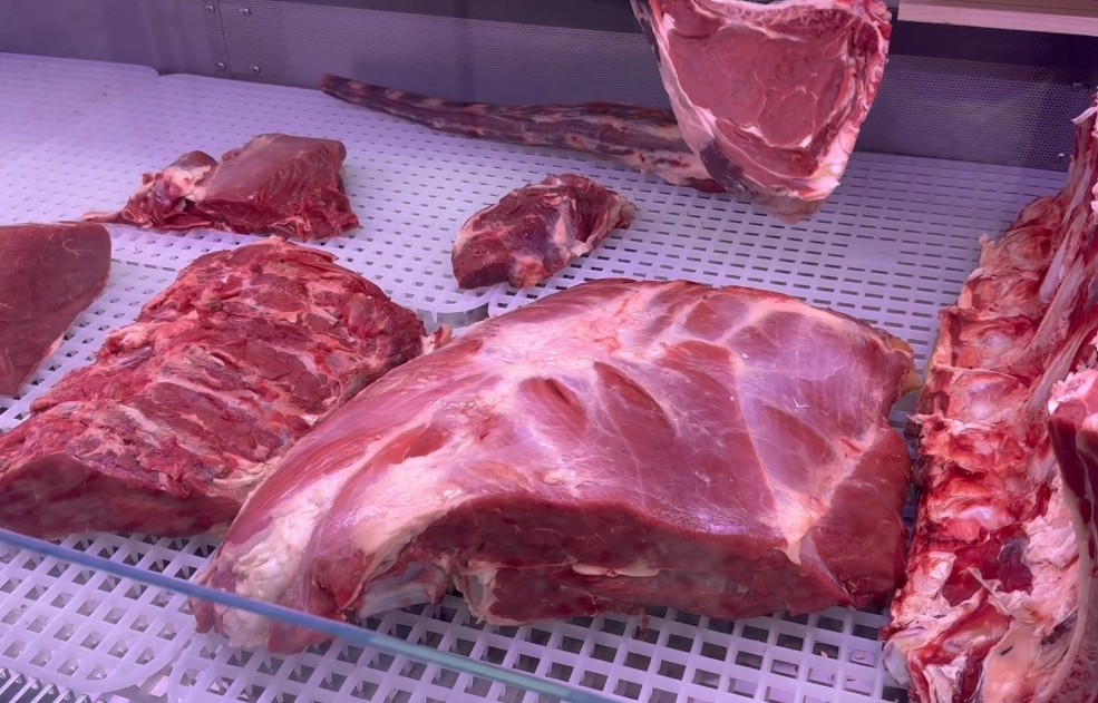 Carne Cavallo
