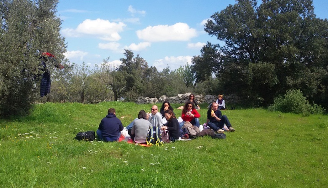 Picnic