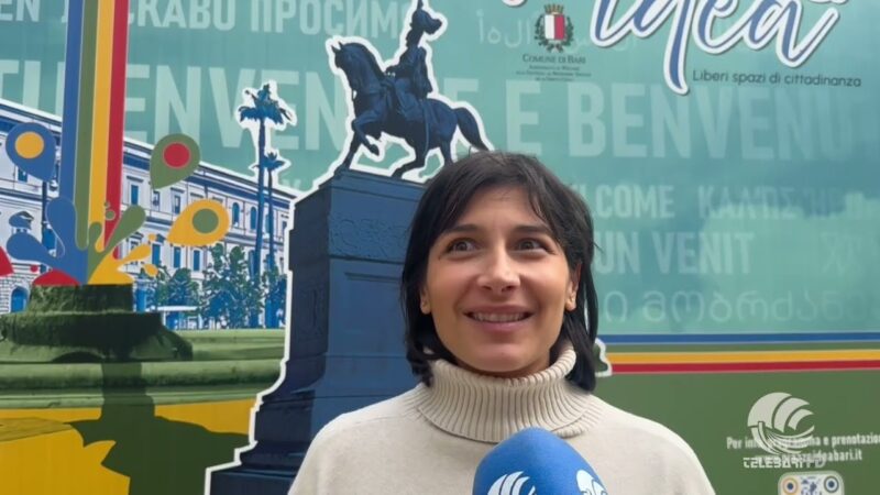 Tg Telebari Mattina 13 02 26