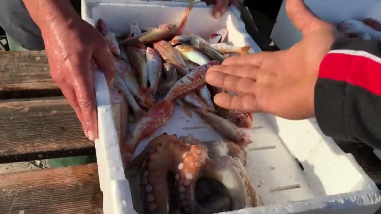 Caro Carburante, Il Settore Della Pesca: “uscire In Mare Costa. Non Possiamo Far Pagare La Crisi Ai Clienti” – Video