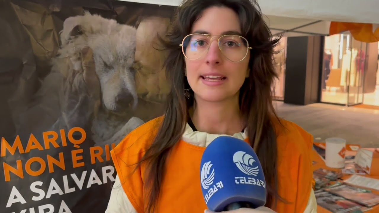 “cibo E Cure Per Cani E Gatti Non Devono Essere Un Lusso”, La Lav In Piazza: Volontari Anche A Bari – Video