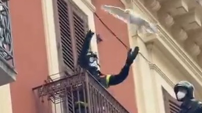 Gabbiano Pompieri 2