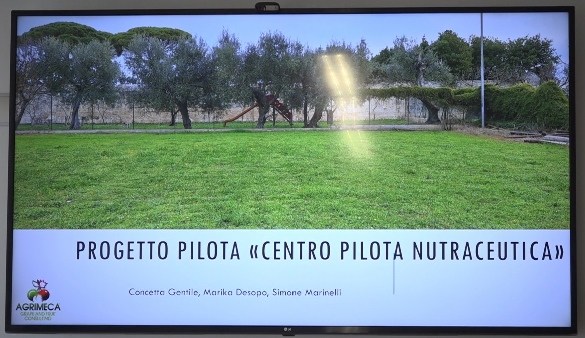 Nutraceutica