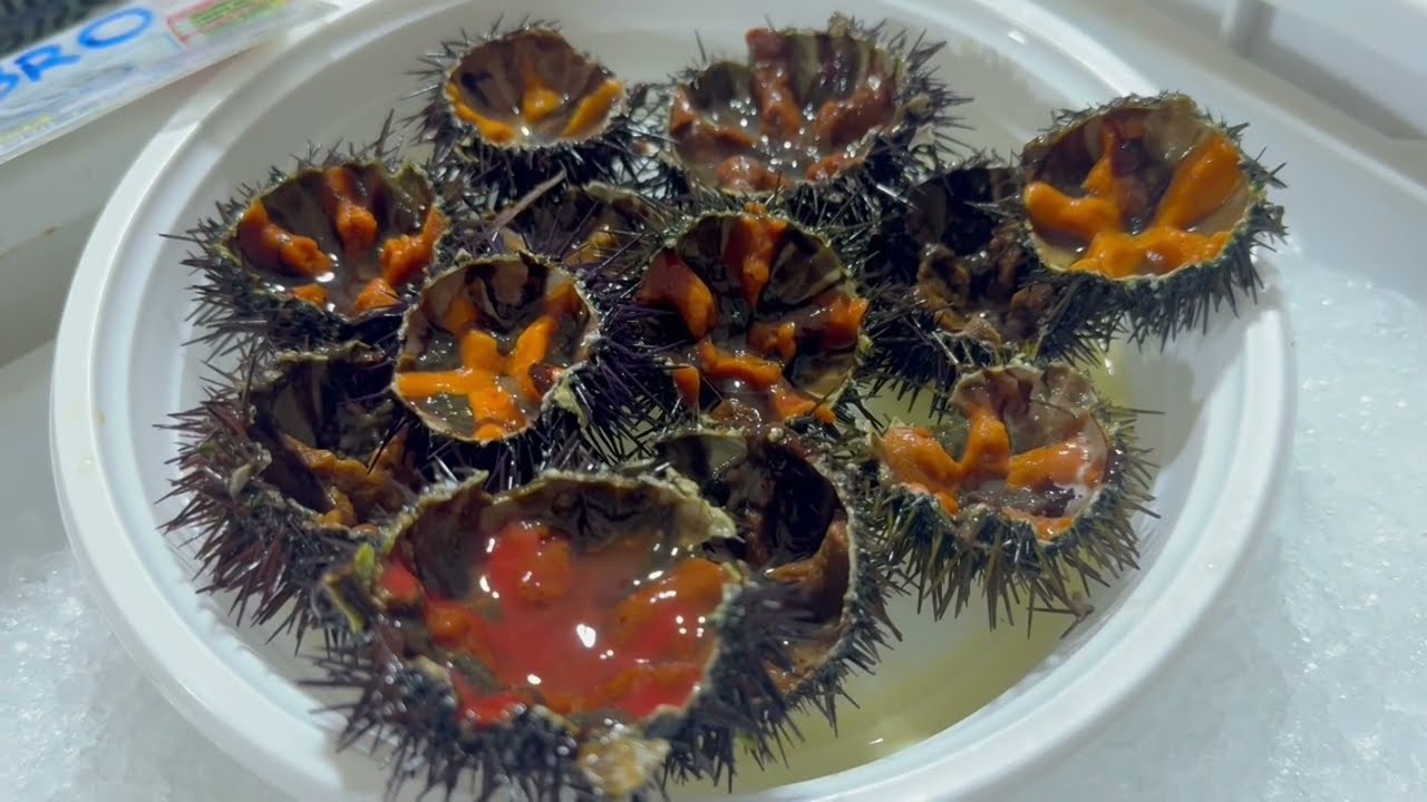 Ricci Di Mare A Peso D’oro, A Bari Fino A 10 Euro Al Pezzo: Fermo Pesca E Import Cambiano I Listini – Video