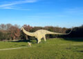 dinosauri