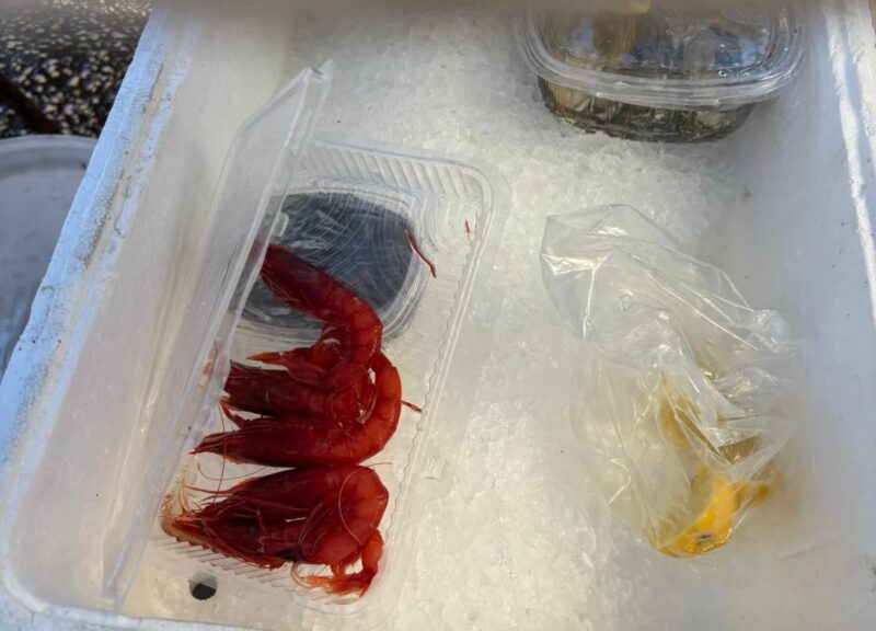 Whatsapp Image 2026 04 26 At 11.50.35 (1)