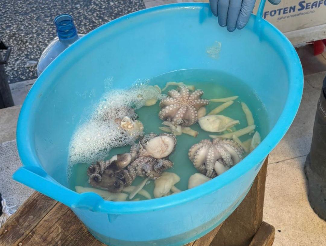 Whatsapp Image 2026 04 26 At 11.50.35