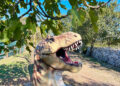 dinosauri