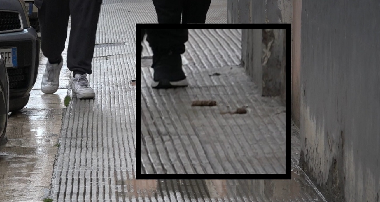Deiezioni Canine